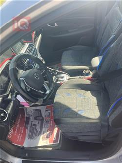 چانگان ئەلسڤین